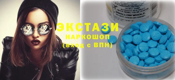 индика Богданович