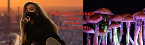 индика Богданович