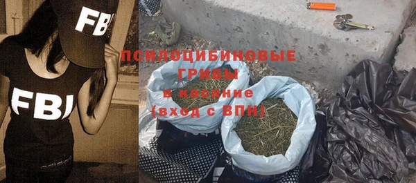 индика Богданович