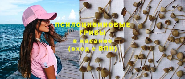 индика Богданович