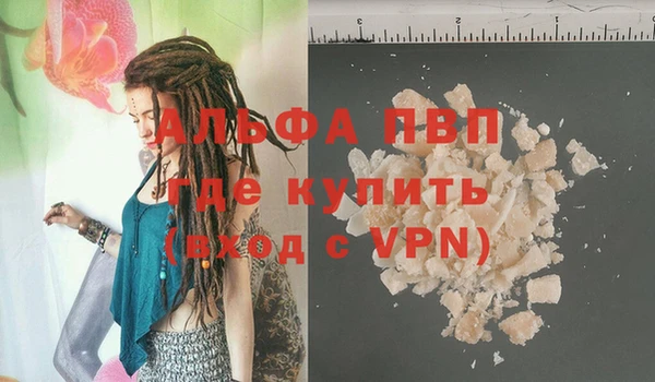 индика Богданович