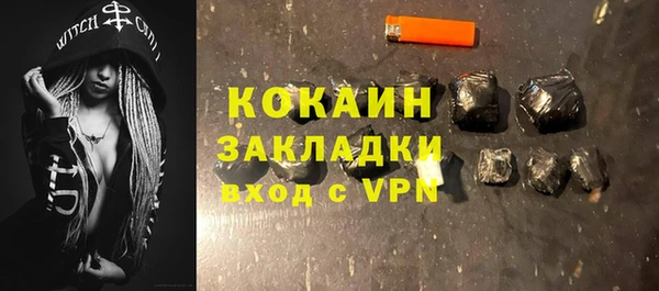 индика Богданович