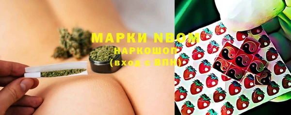 ешки Бородино